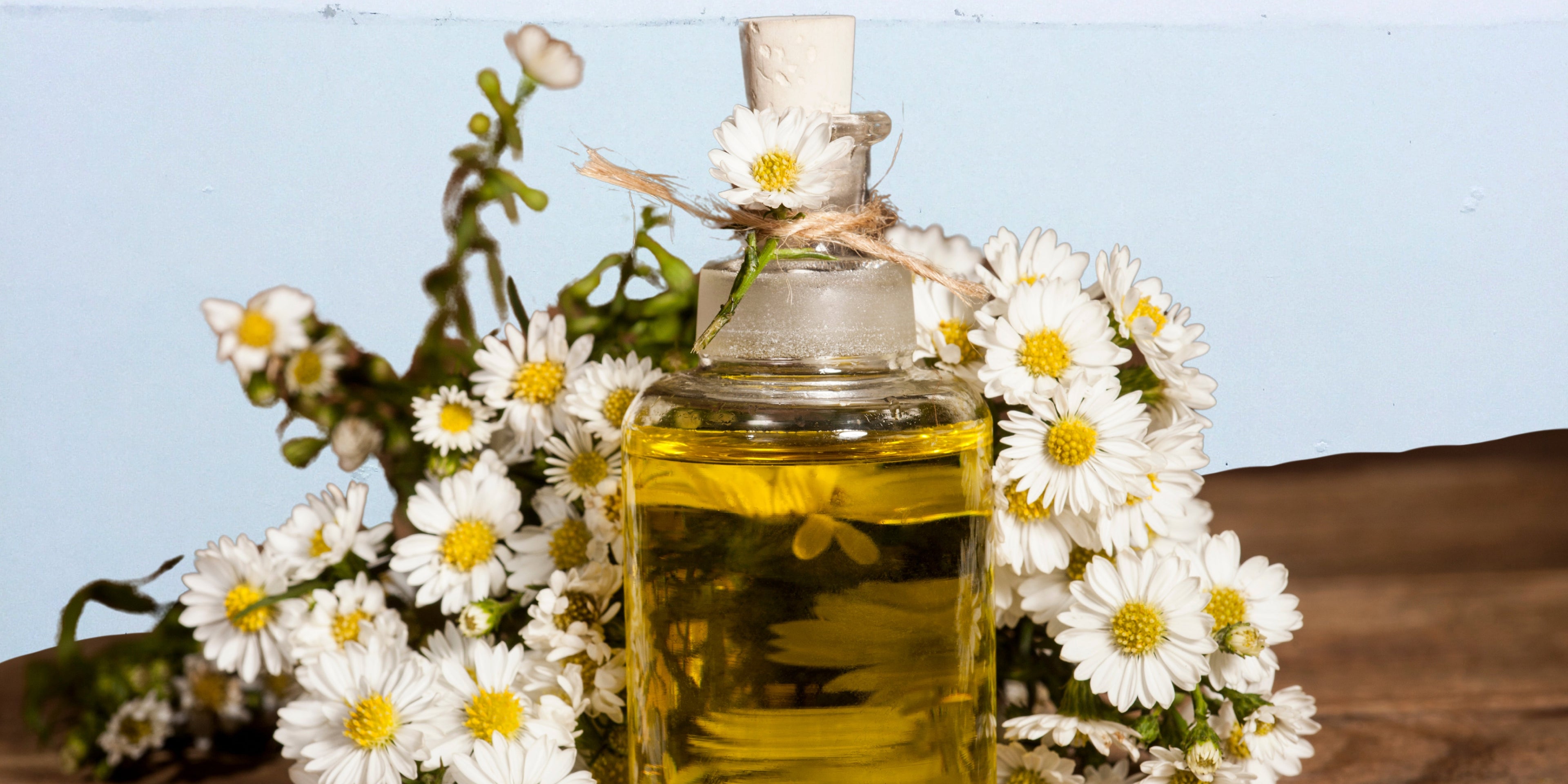 une bouteille d'huile de camomille entourée des fleurs de la même plante