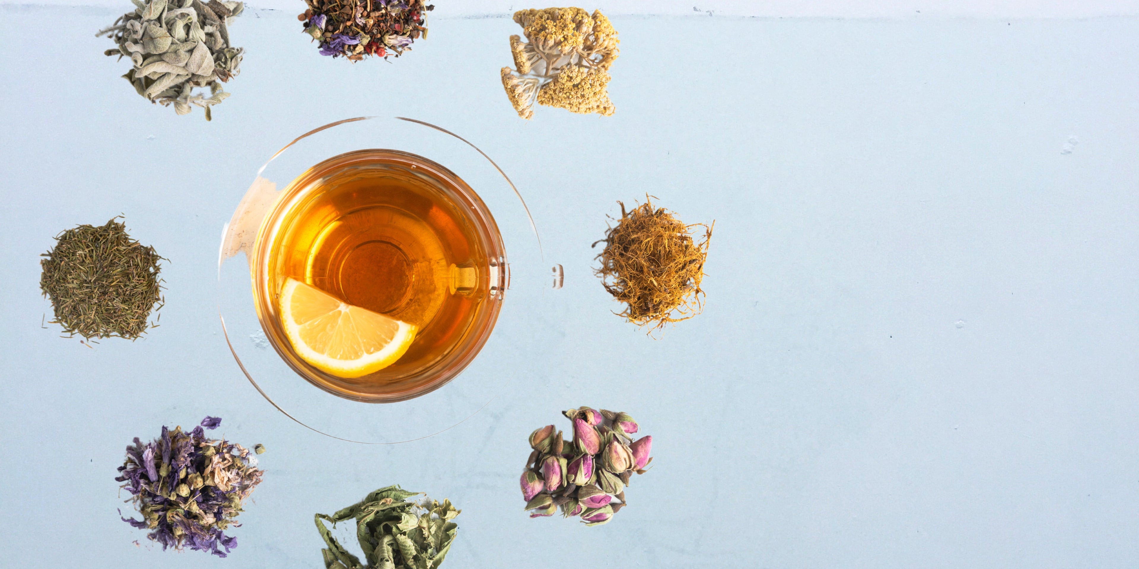 une tasse d'un thé entourée de plantes