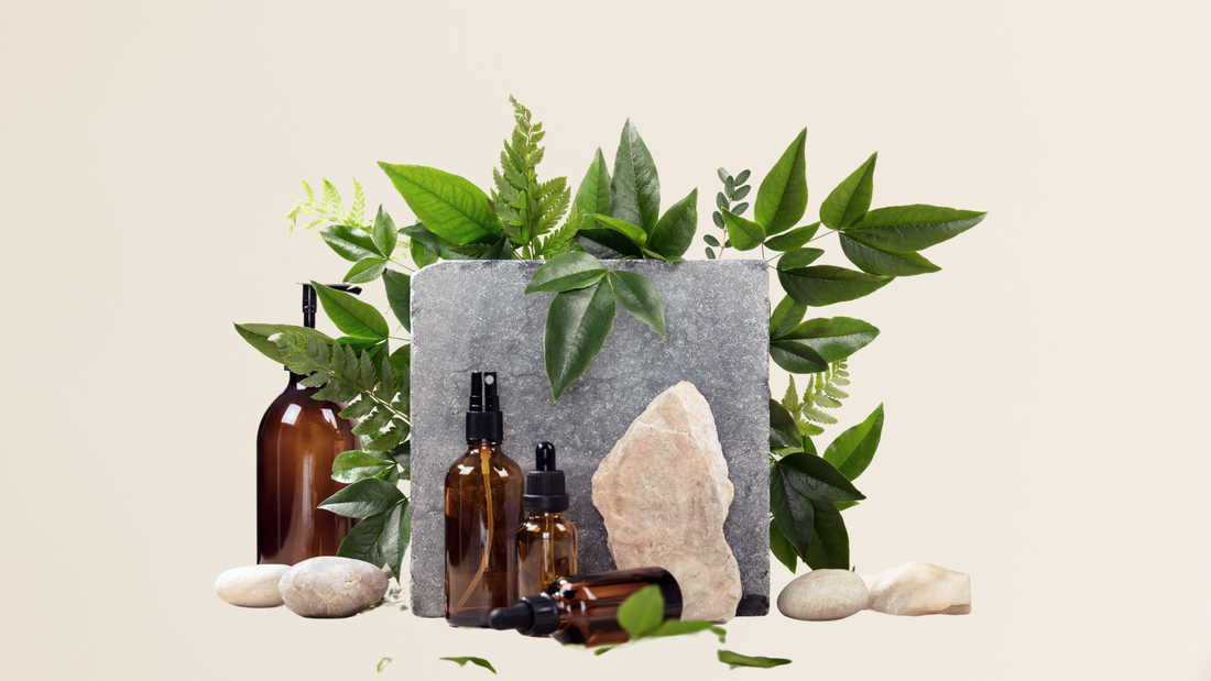 Photoshoot où on peut voir plusieurs produits en verre disposés à côté des plantes.