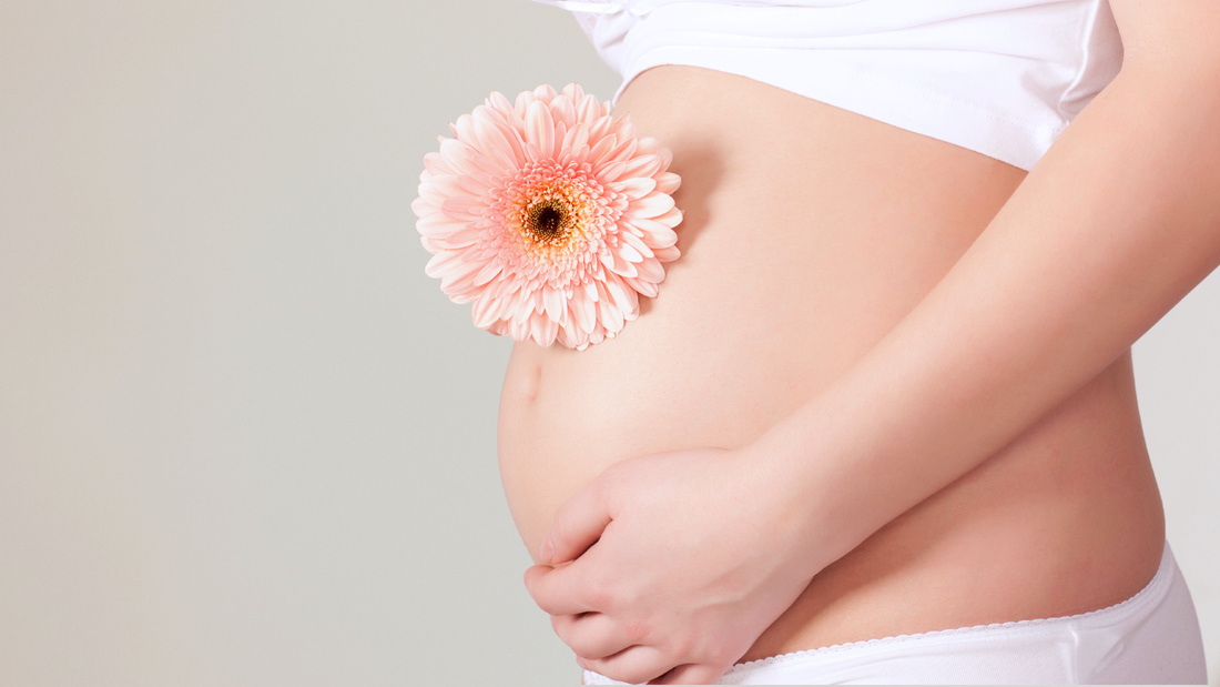 Une femme enceinte qui caresse son ventre, où il y a une fleur posée sur un fond marron clair.