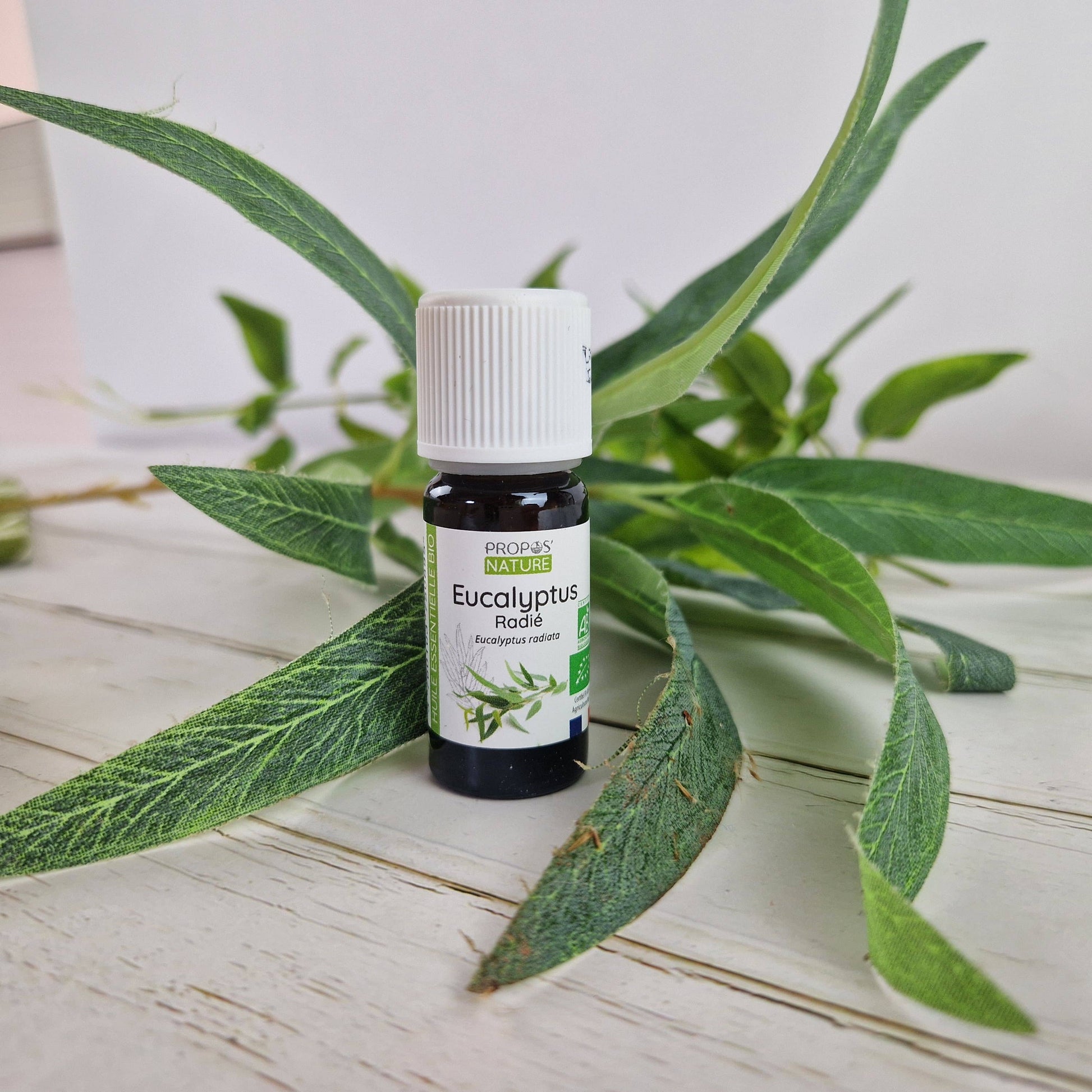 Propos’Nature – Huile essentielle eucalyptus radié bio 10 ml