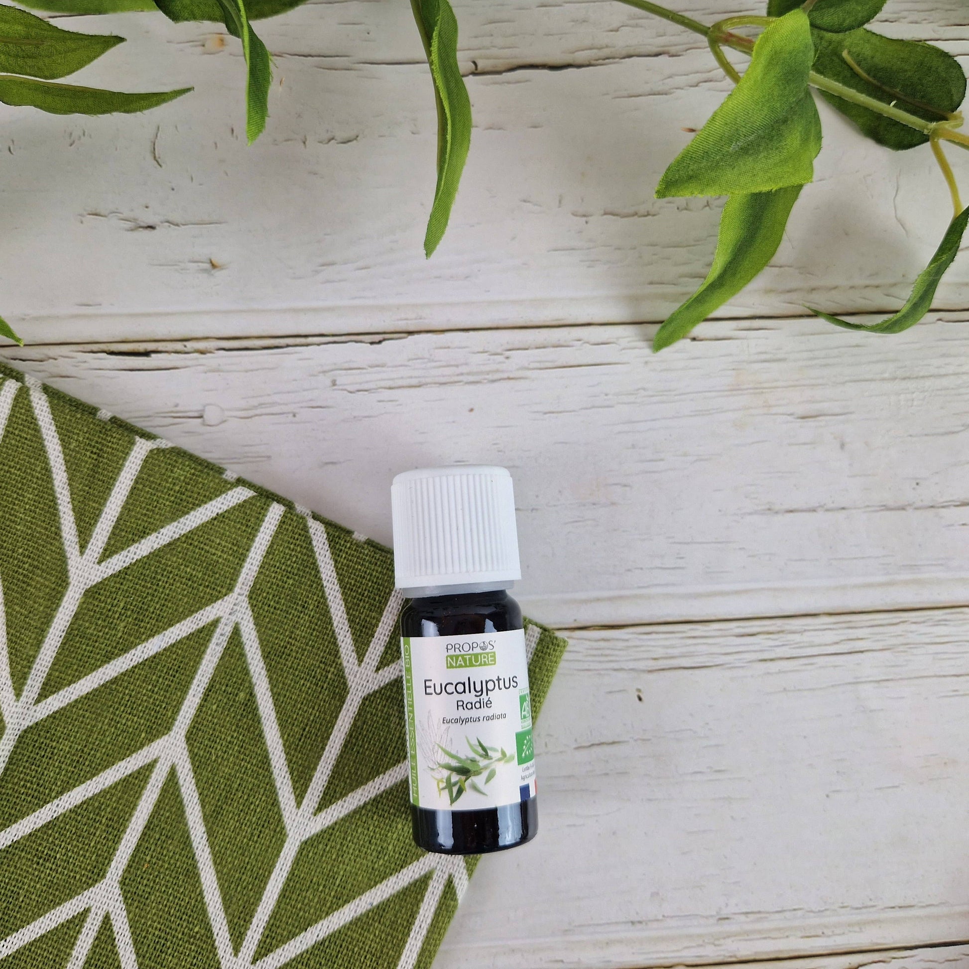 Propos’Nature – Huile essentielle eucalyptus radié bio 10 ml